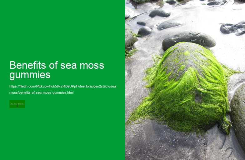 what is sea moss gummies